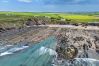 Cabin in Widemouth Bay - Manderley