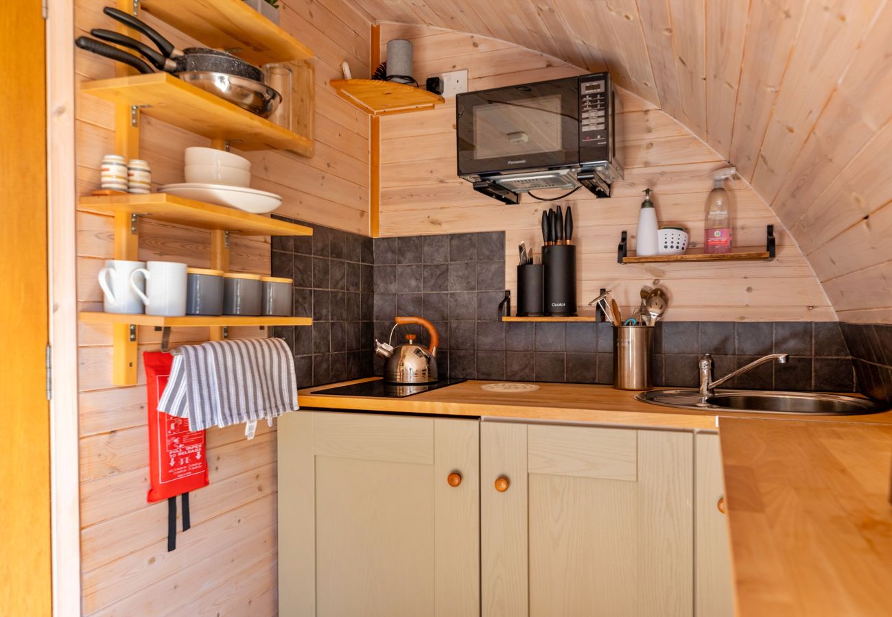 Cabin in St Asaph - Idris Pod