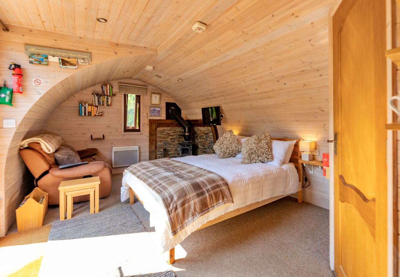 Cabin in St Asaph - Idris Pod