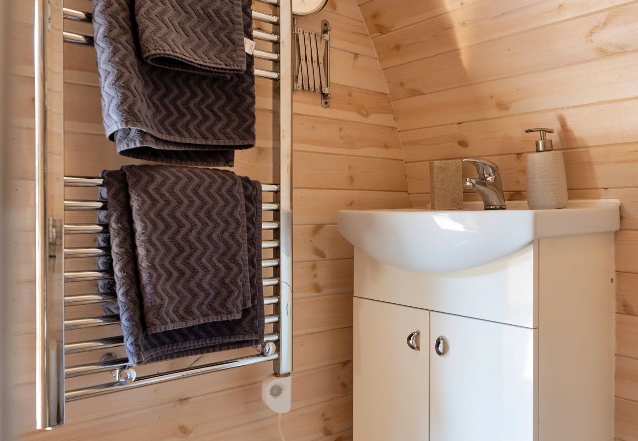 Cabin in St Asaph - Idris Pod