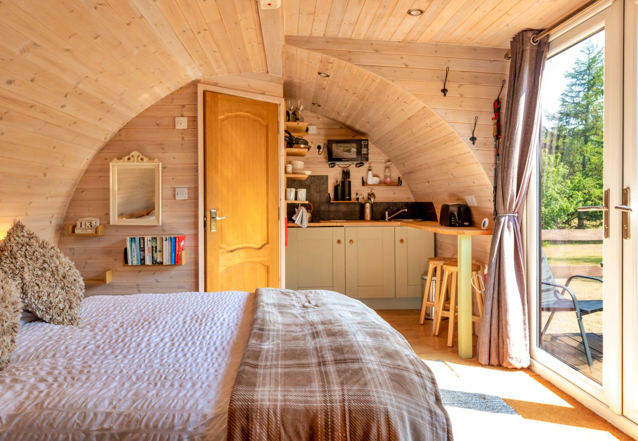 Cabin in St Asaph - Idris Pod
