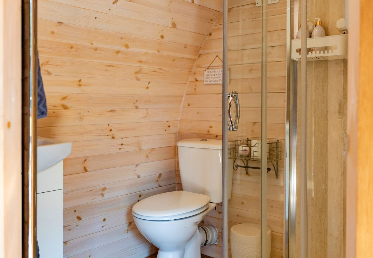 Cabin in St Asaph - Idris Pod
