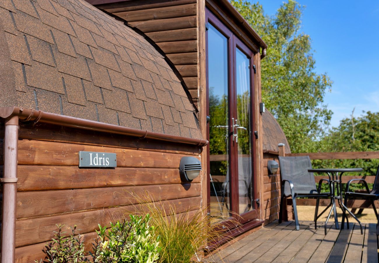Cabin in St Asaph - Idris Pod