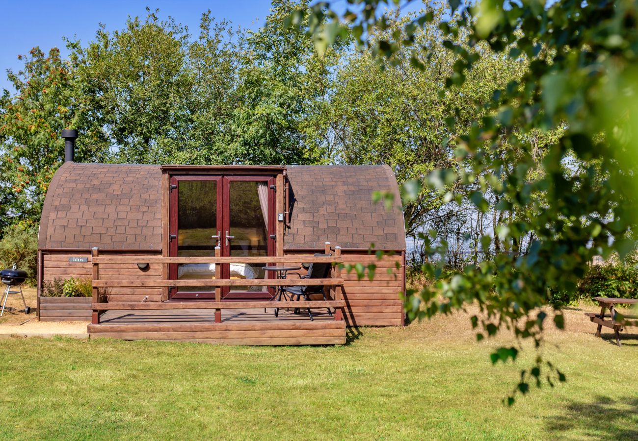 Cabin in St Asaph - Idris Pod