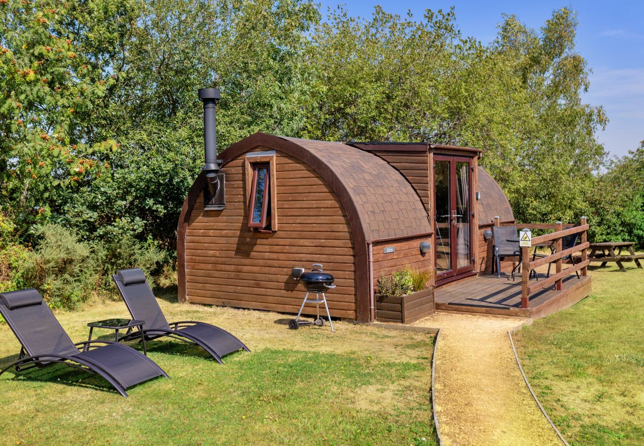 Cabin in St Asaph - Idris Pod