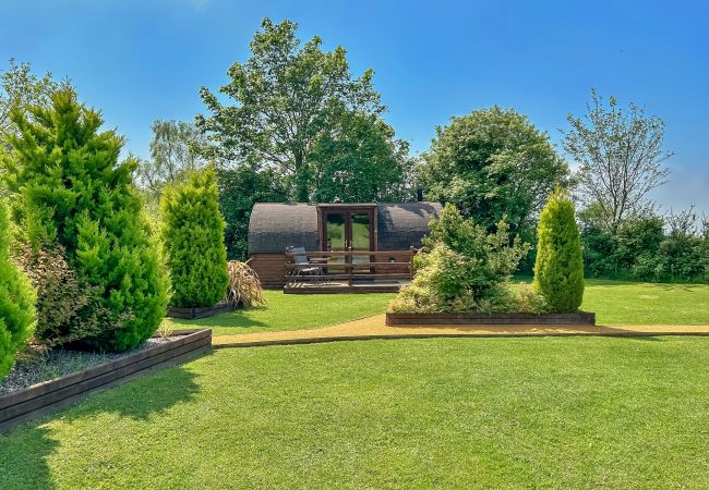 Cabin in St Asaph - Gelert Pod