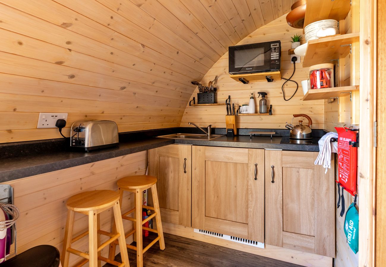 Cabin in St Asaph - Gelert Pod