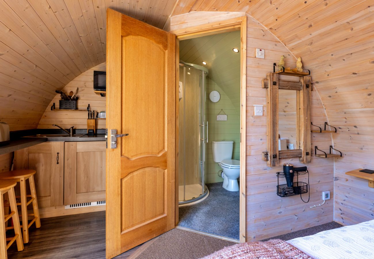 Cabin in St Asaph - Gelert Pod