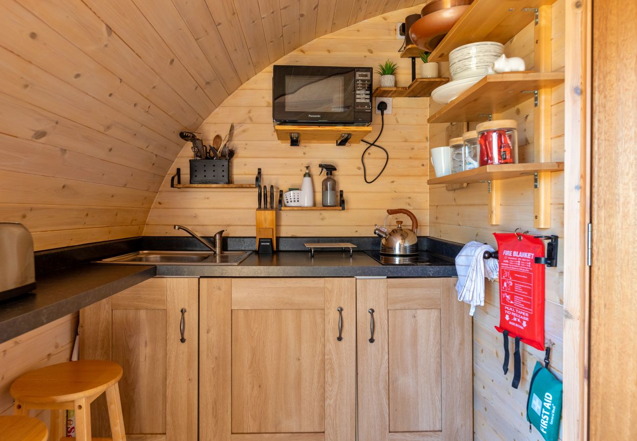 Cabin in St Asaph - Gelert Pod
