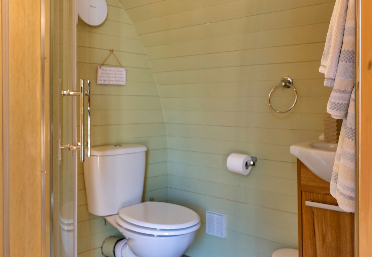 Cabin in St Asaph - Gelert Pod