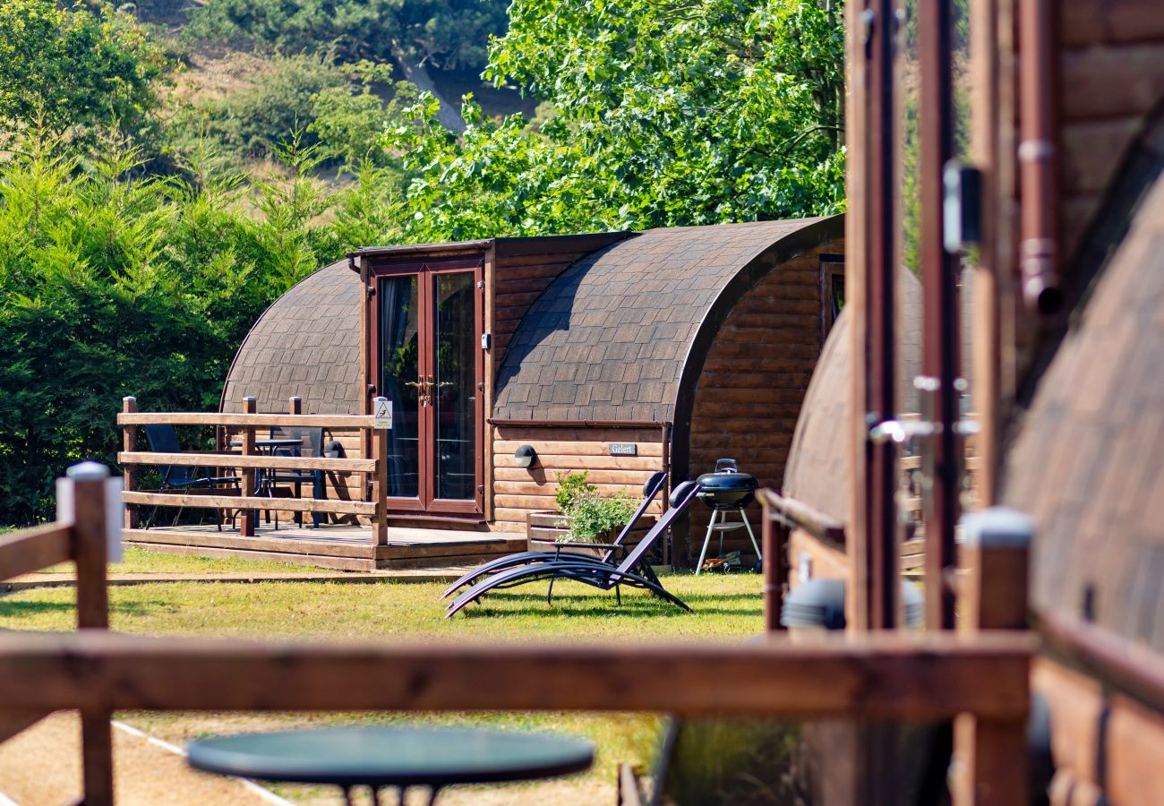 Cabin in St Asaph - Gelert Pod