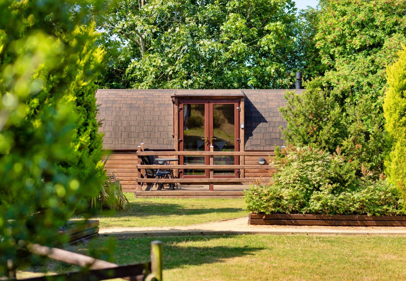Cabin in St Asaph - Gelert Pod